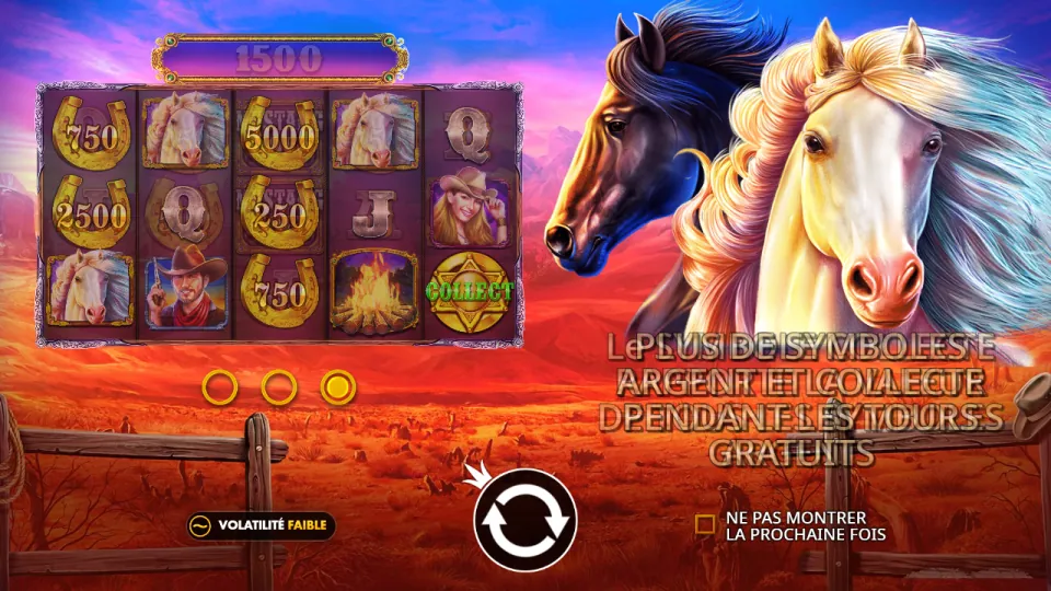 Mustang Gold, écran du jeu